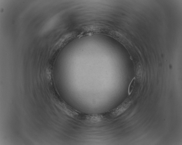 X0000077410282200611032059
