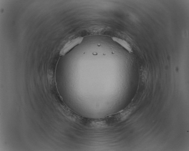 X0000077410283200611032059