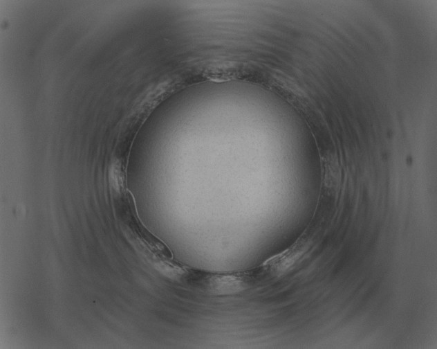 X0000077410287200611032059