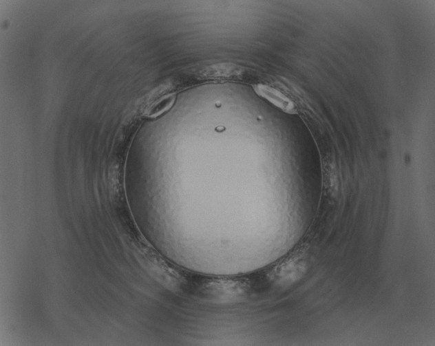 X0000077410326200611032058