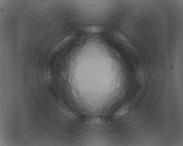 X0000077410330200611032058