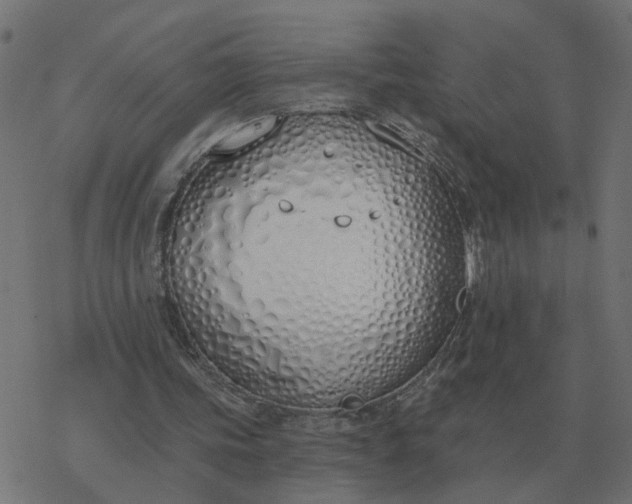 X0000077410339200611032057