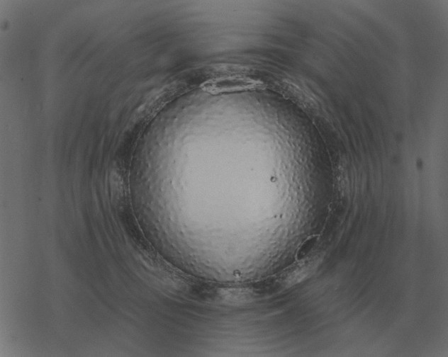 X0000077410371200611032057