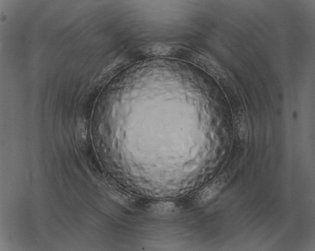 X0000077410374200611032057