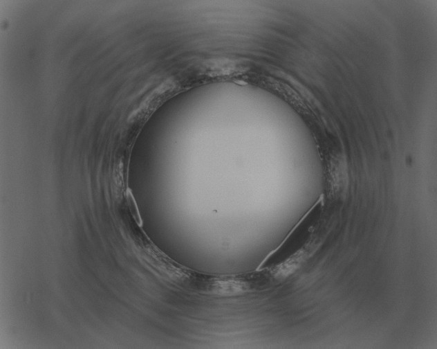 X0000077410376200611032057