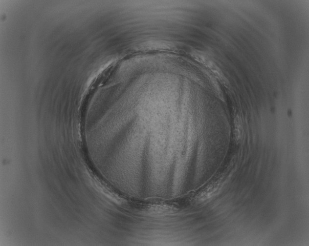 X0000077410399200611032057