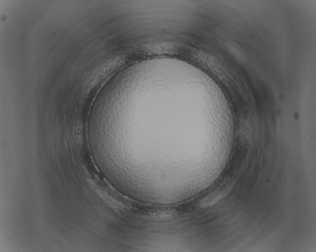 X0000077410402200611032056