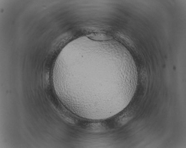 X0000077410406200611032056