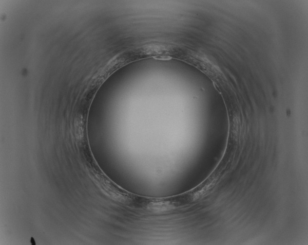 X0000077410413200611032056