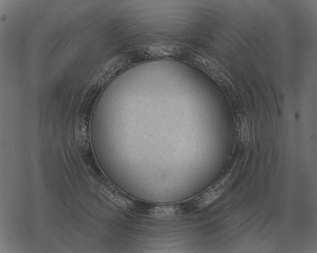 X0000077410418200611032056