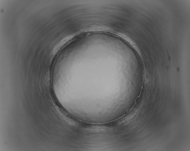 X0000077410437200611032055