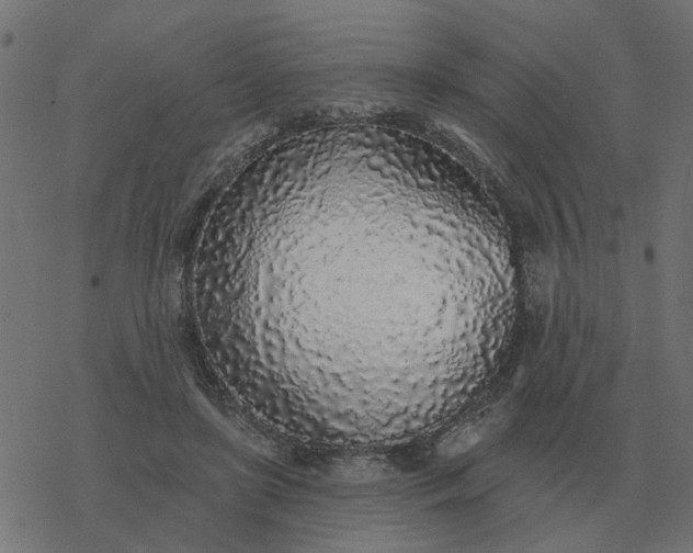 X0000077410451200611032055
