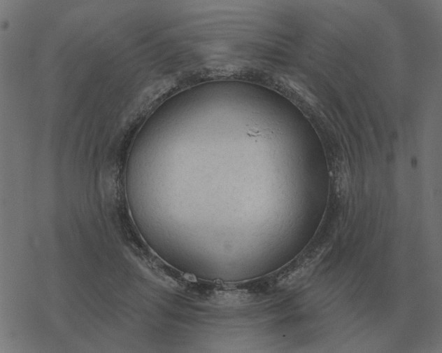 X0000077410455200611032056