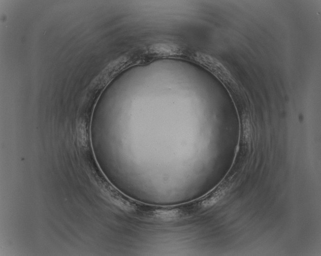 X0000077410457200611032056
