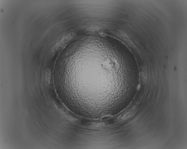 X0000077410458200611032056