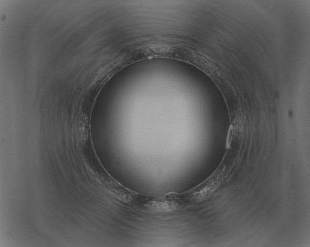 X0000077410464200611032056
