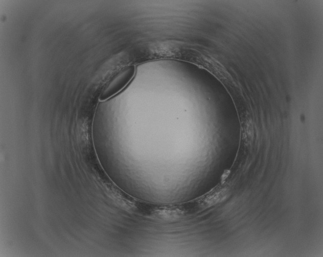 X0000077410466200611032056