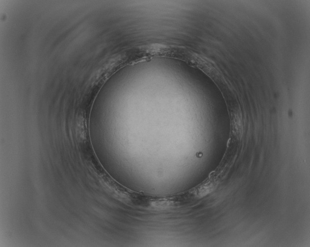 X0000077410470200611032056