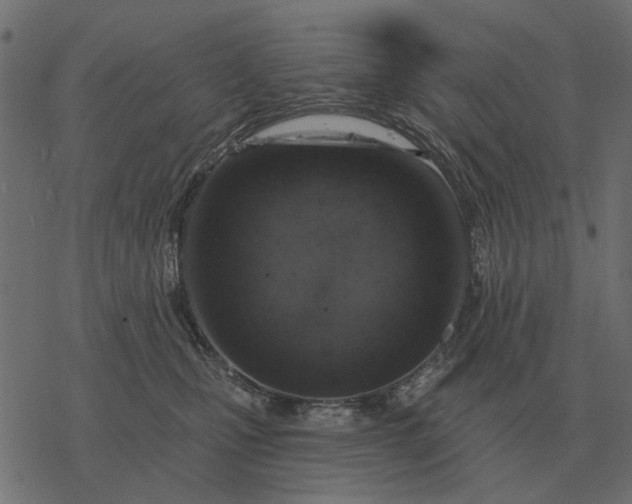 X0000077410471200611032056
