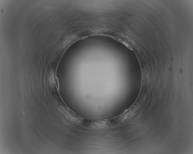 X0000077410479200611032056