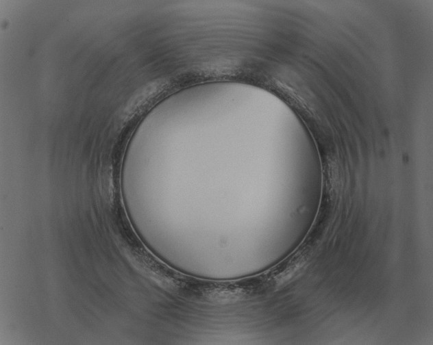 X0000077410494200611032055