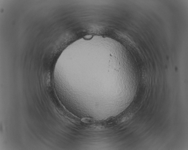 X0000077410502200611032055