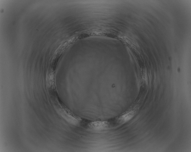 X0000077410526200611032054