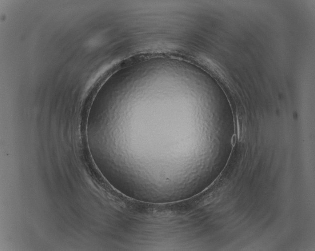 X0000077410531200611032054