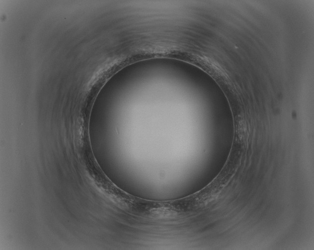 X0000077410544200611032054