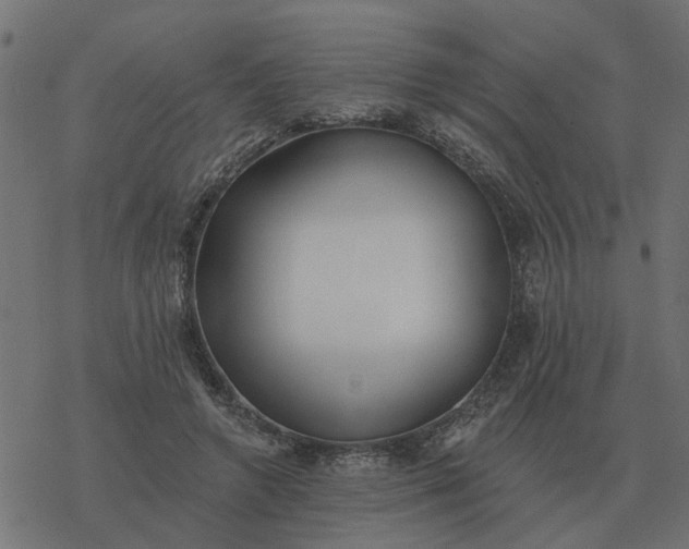X0000077410546200611032054