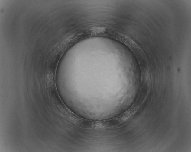 X0000077410565200611032054