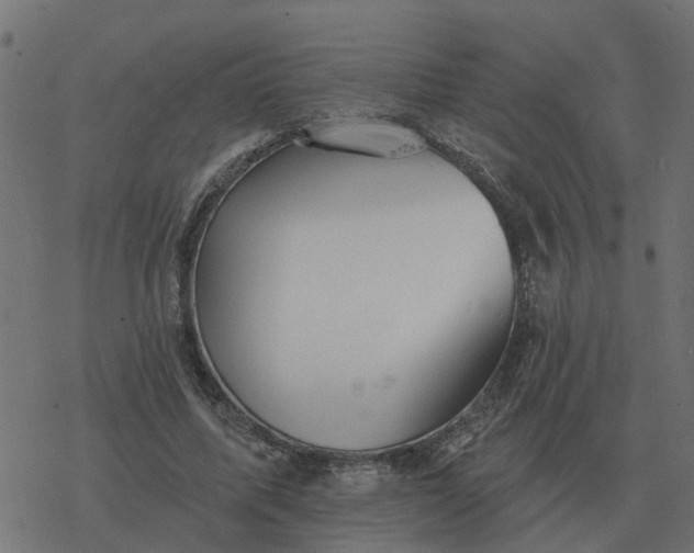 X0000077410587200611032053