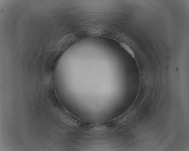 X0000077410601200611032053