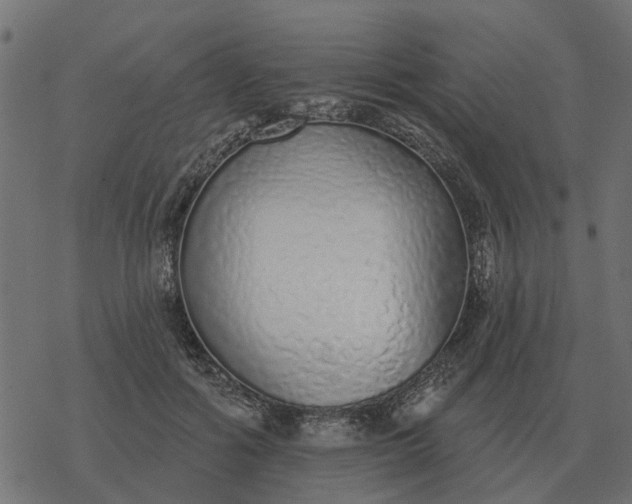 X0000077410602200611032053