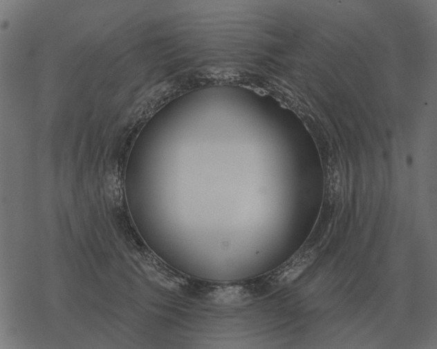 X0000077410609200611032053