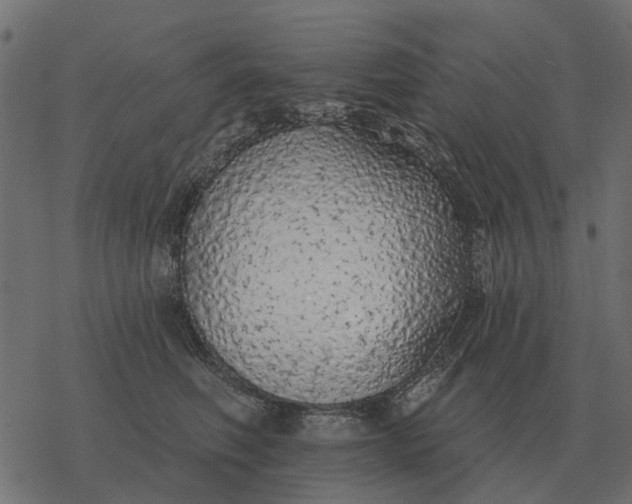 X0000077410614200611032053