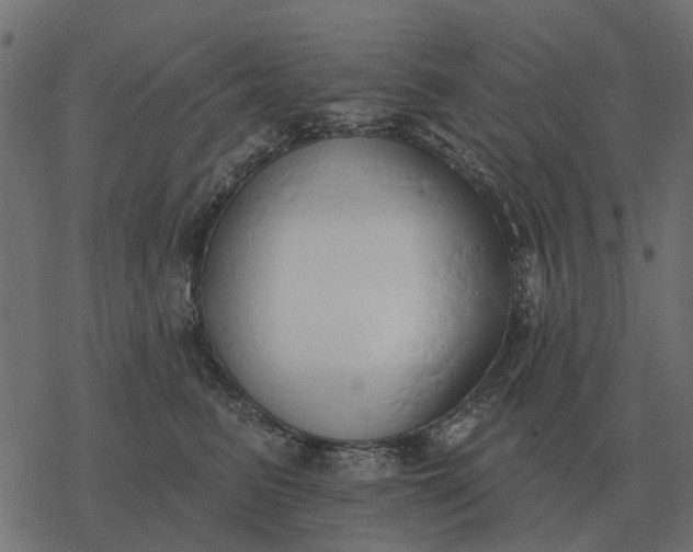 X0000077410615200611032053