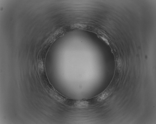 X0000077410617200611032053