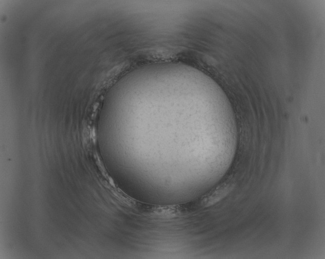 X0000077410624200611032053