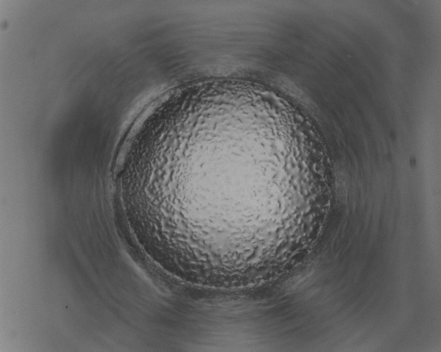 X0000077410626200611032052