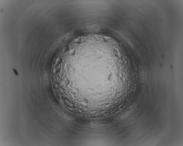 X0000077410641200611032052
