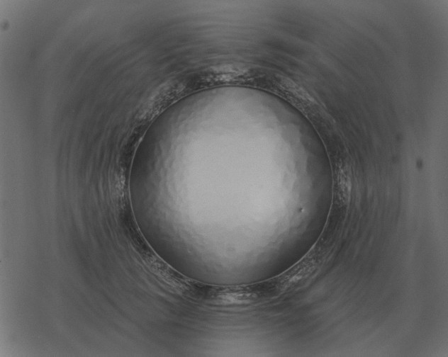 X0000077410657200611032053