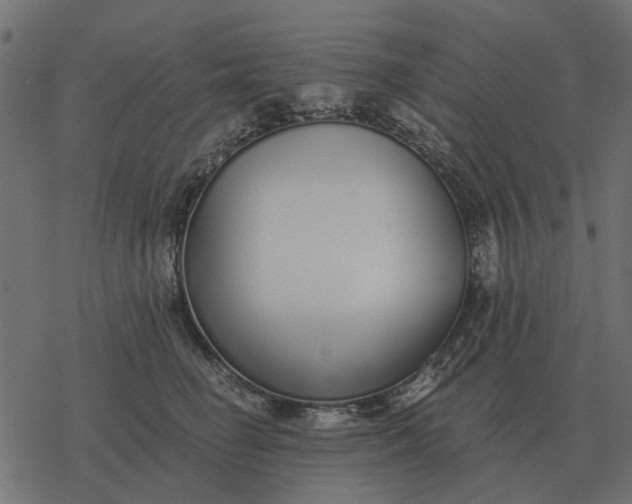 X0000077410662200611032053