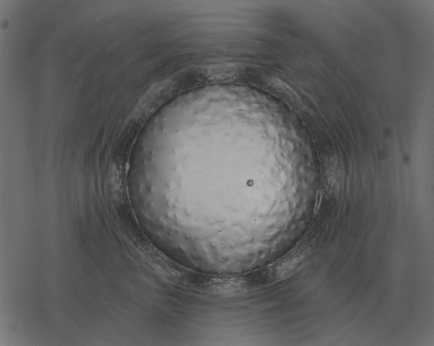 X0000077410667200611032053