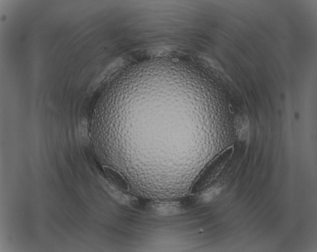 X0000077410670200611032053