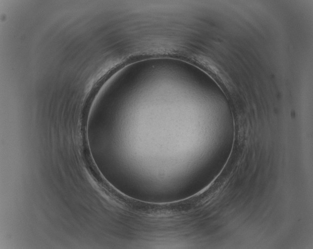 X0000077410677200611032052