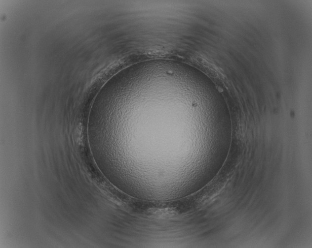 X0000077410689200611032052