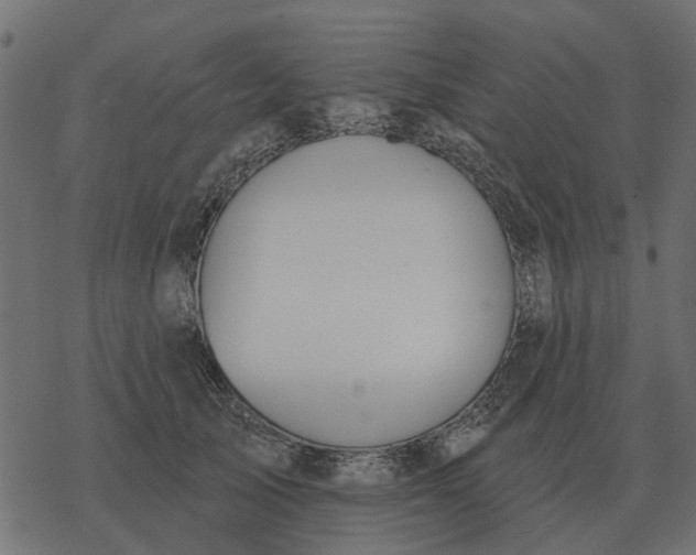 X0000077410705200611032052