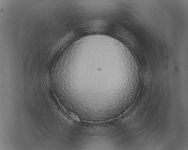 X0000077410729200611032051