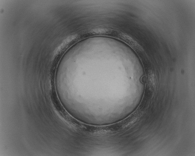 X0000077410734200611032051